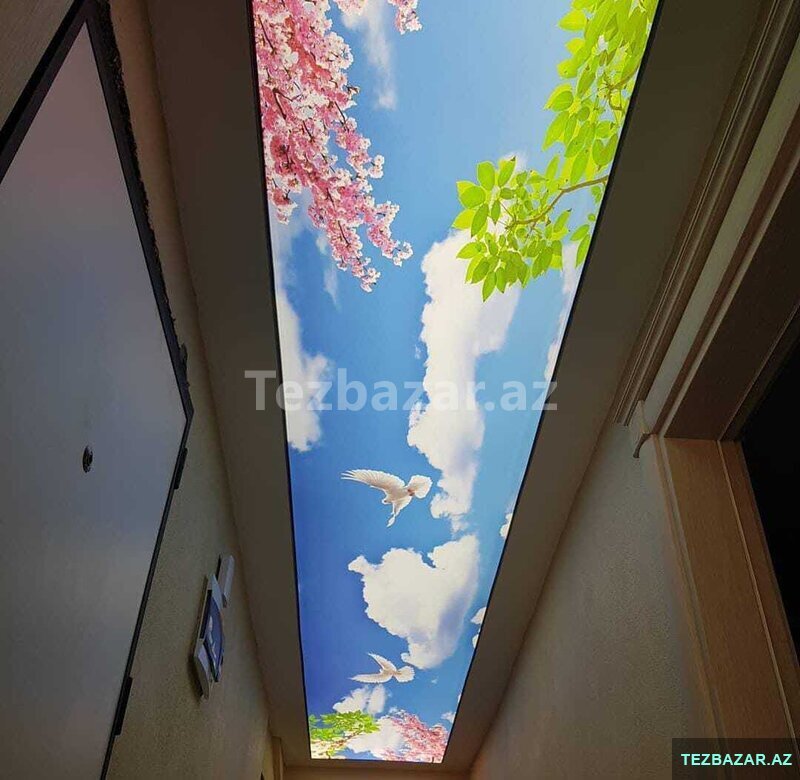 Dartma tavan Dartma tavan