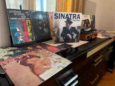 Vinil plstinkalar Vinil plstinkalar
