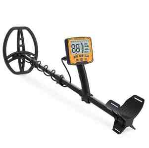 Qızıl axtaran Qızıl axtaran