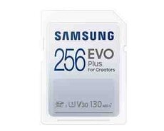 SAMSUNG EVO Plus Full Size 256GB SDXC Card