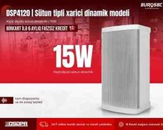 Sütun tipli xarici dinamik modeli DSPPA 4120 | 15W
