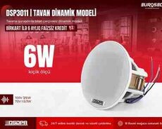 6W Tavan dinamik modeli DSPPA 3011