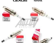 Lexus, Toyota alışma şamları