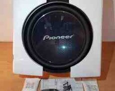 Pioneer sabuferi