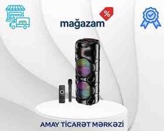 Portativ dinamik KK-8203