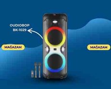 Dinamik BK-1029