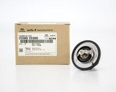 Kia forte thermostat(255002E000)