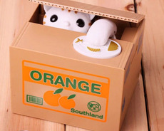 Qəpik oğurlayan və yığan pişik 030T14