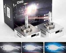 Ksenon lampa D5S