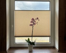 Plisse model jaluzler