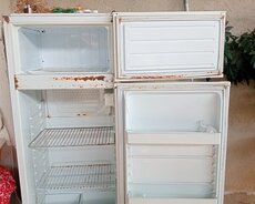 Çınar soyuducusudur 