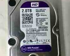 Western Digital sərt disk HDD
