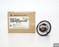 Kia Forde thermostat (255002e000)