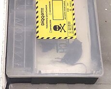 Gəmirici tələsi, siçan tələsi