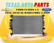 Ford Fusion su radiatoru