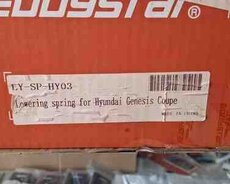 Hyundai Genesis Coupe aksesuarı