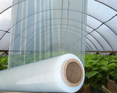 İstixana üşün salafan.