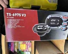 Dinamik Pioneer TS-6975 V3