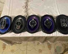 Pioneer dinamikləri