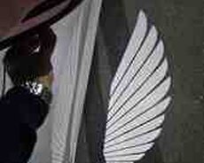 Güzgü aksesuarı qanad