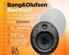 Bang  Olufsen BeoVox1