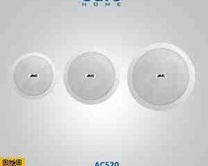 Tavan dinamikləri AC520 2.5W-5W-10W-20W, 100V