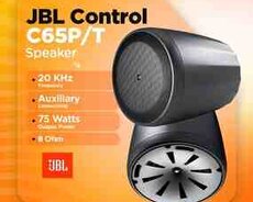 JBL control C65P, T Speaker