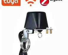 Tuya Zigbee kran