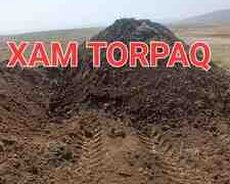 Xam torpaq