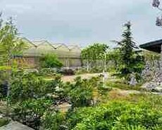 Obyekt, Türkan qəs