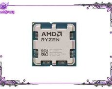 AMD Ryzen 9 9600X