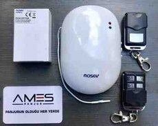 Jalüz beyni və pultu