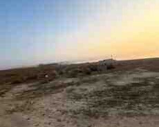 18 sot torpaq sahəsi, Novxanı qəs