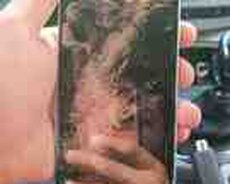 Honor X8b Titanium Silver 256GB, 8GB