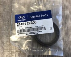 Hyundai Elantra motorun ön salniki