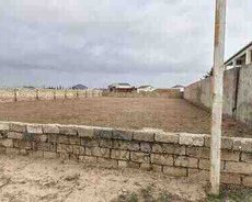 12 sot torpaq sahəsi, Zirə qəs