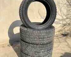 Şinlər 255, 55 R18