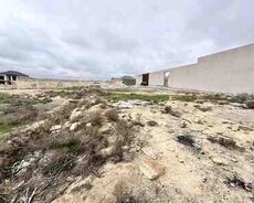 8 sot torpaq sahəsi, Saray qəs