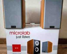 Dinamiklər Microlab B-73