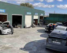 Toyota Prius servisi