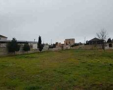 12 sot torpaq sahəsi, Albalılıq qəs