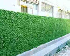 Qazon Setka (tor) Yaşıl Hasar