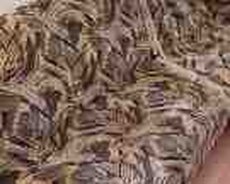 Divan və kreslo örtüyü