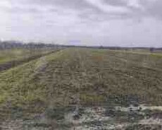 277 sot torpaq sahəsi, Xudat qəs