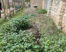 6 sot torpaq sahəsi, Bilgəh qəs