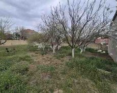 5 sot torpaq sahəsi, Sulutəpə qəs