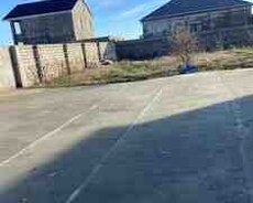 5 sot torpaq sahəsi, Albalılıq qəs