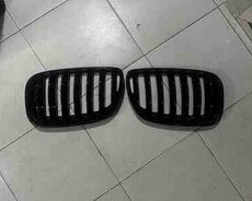 BMW X5 E53 radiator barmaqlığı