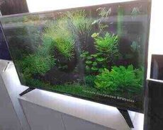 Televizorlar Shivaki