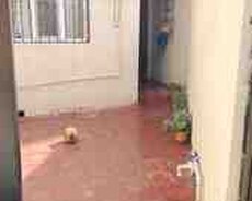 Həyət evi, Binəqədi qəs